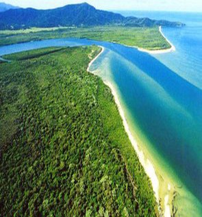 The pristine rainforests of Daintree River The pristine rainforests of Daintree River