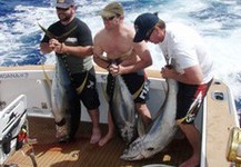 Yellowfin Tuna catch Seamount Coral Sea