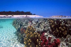 Cairns - Frankland Islands